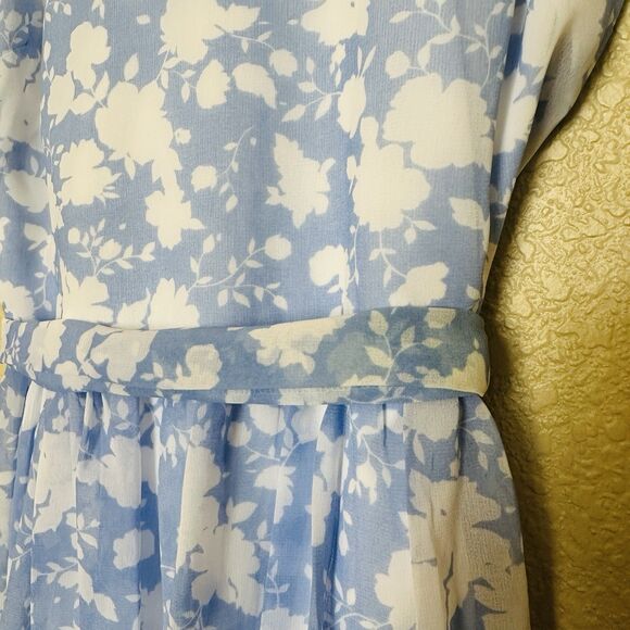 Disney Alice In Wonderland Dress Sz Small Colleen Atwood Blue White Floral Lace - Picture 4 of 6